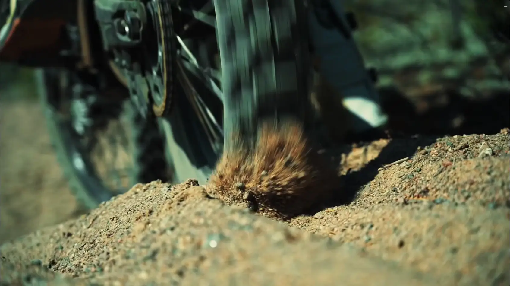 ENDURO S300 2025