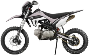 Gladiator P8 IMBA