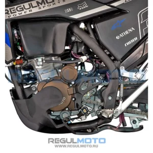 Regulmoto LEGEND 300